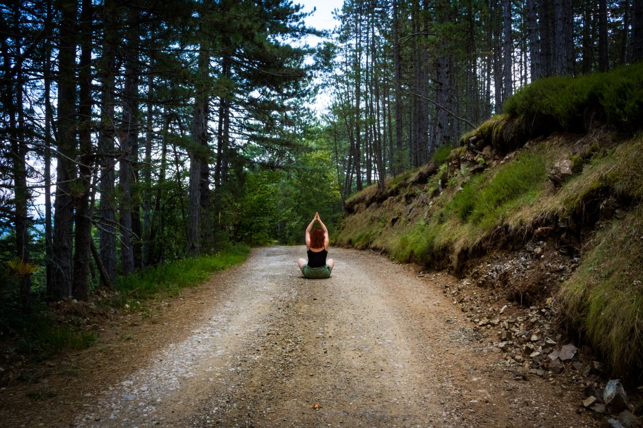 class-03 A person meditating on a forest path, embracing nature's tranquility in summer.